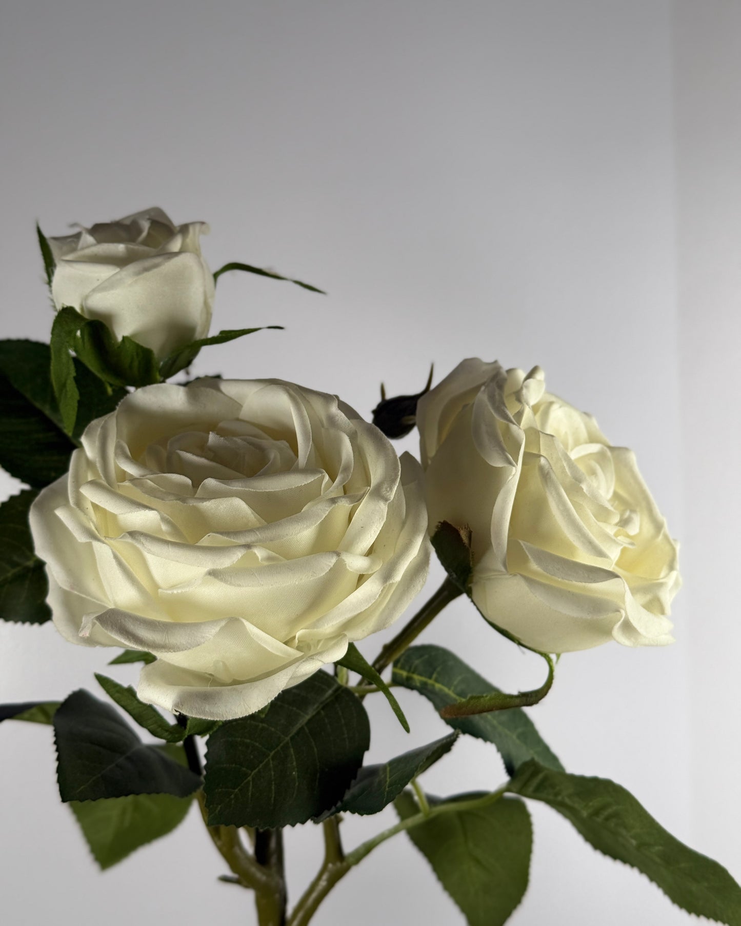 Spray Rose (Real Touch)