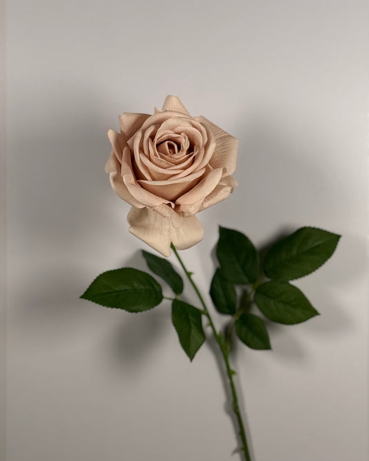 Rose Moist (Real Touch)