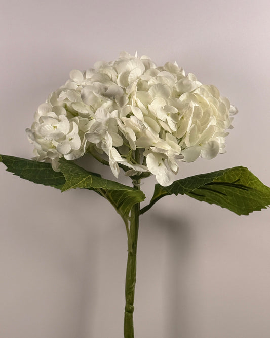 Hydrangea DF022 - Thick Stem (Real Touch)