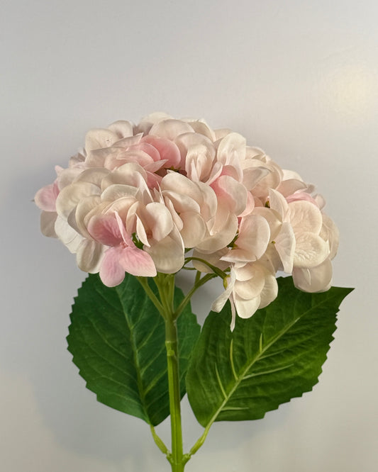 Hydrangea DF024 Large Leaves (Real Touch)