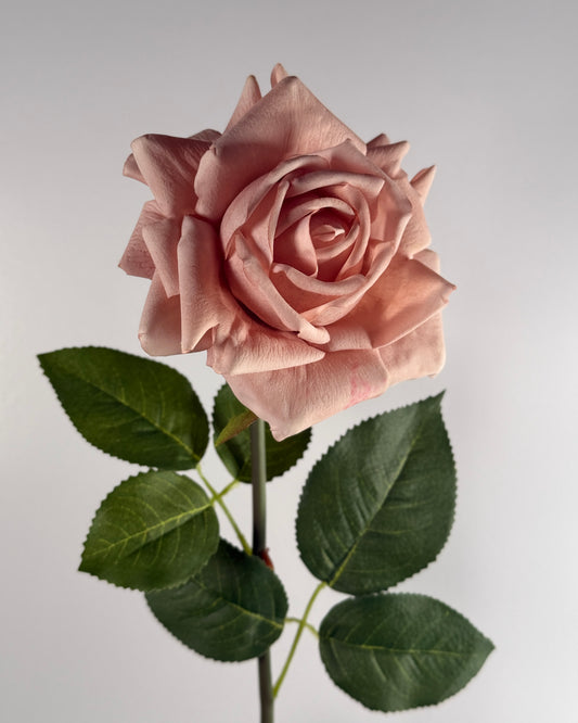Rose (Real Touch)