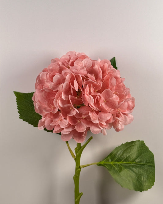 Hydrangea DF023 - Small Stem (Real Touch)