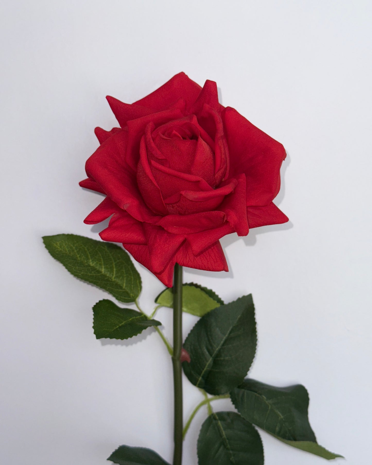 Rose (Real Touch)