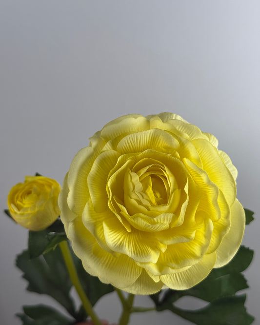 Ranunculus Spray