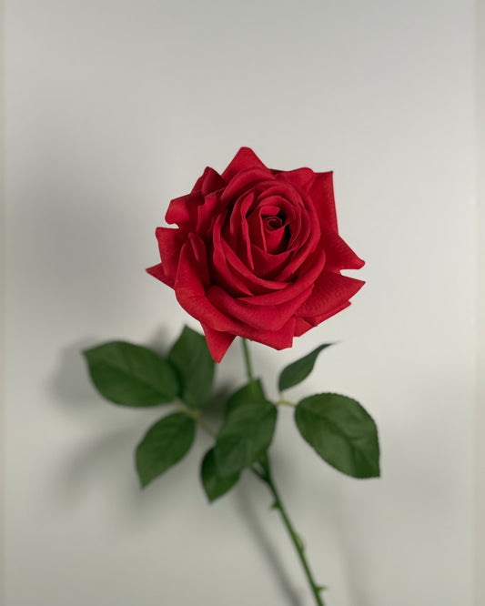 Rose Moist (Real Touch)