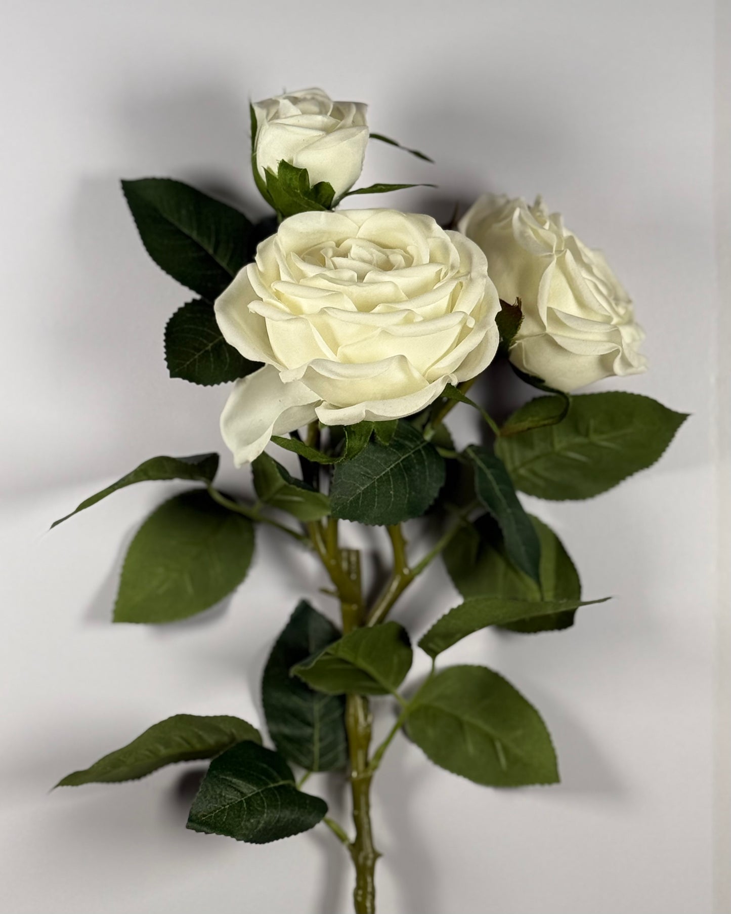Spray Rose (Real Touch)