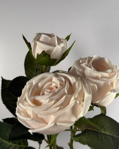 Spray Rose (Real Touch)