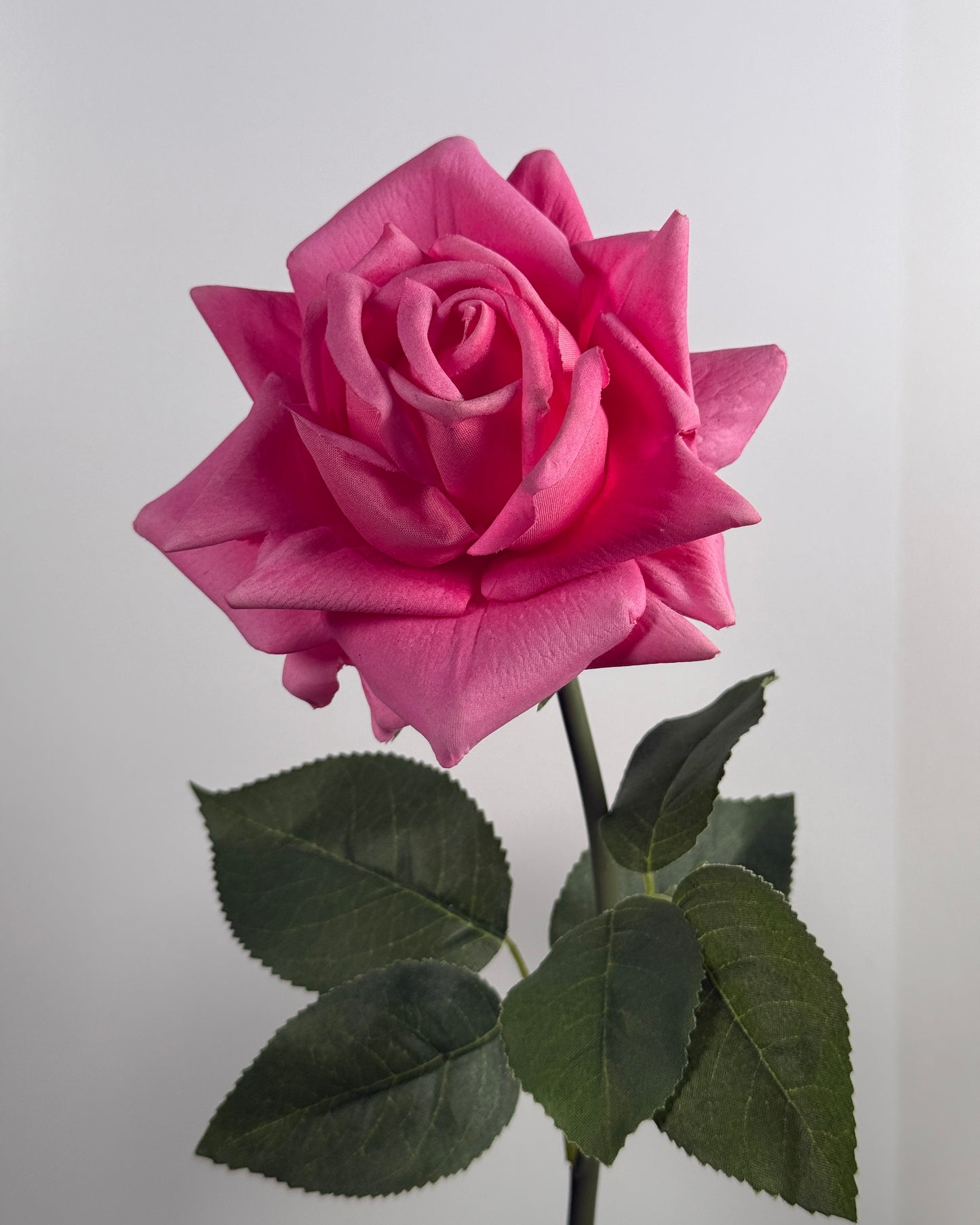 Rose (Real Touch)