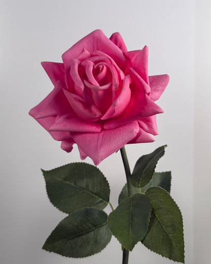 Rose (Real Touch)