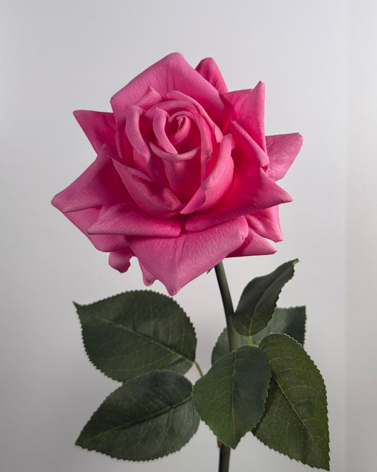 Rose (Real Touch)