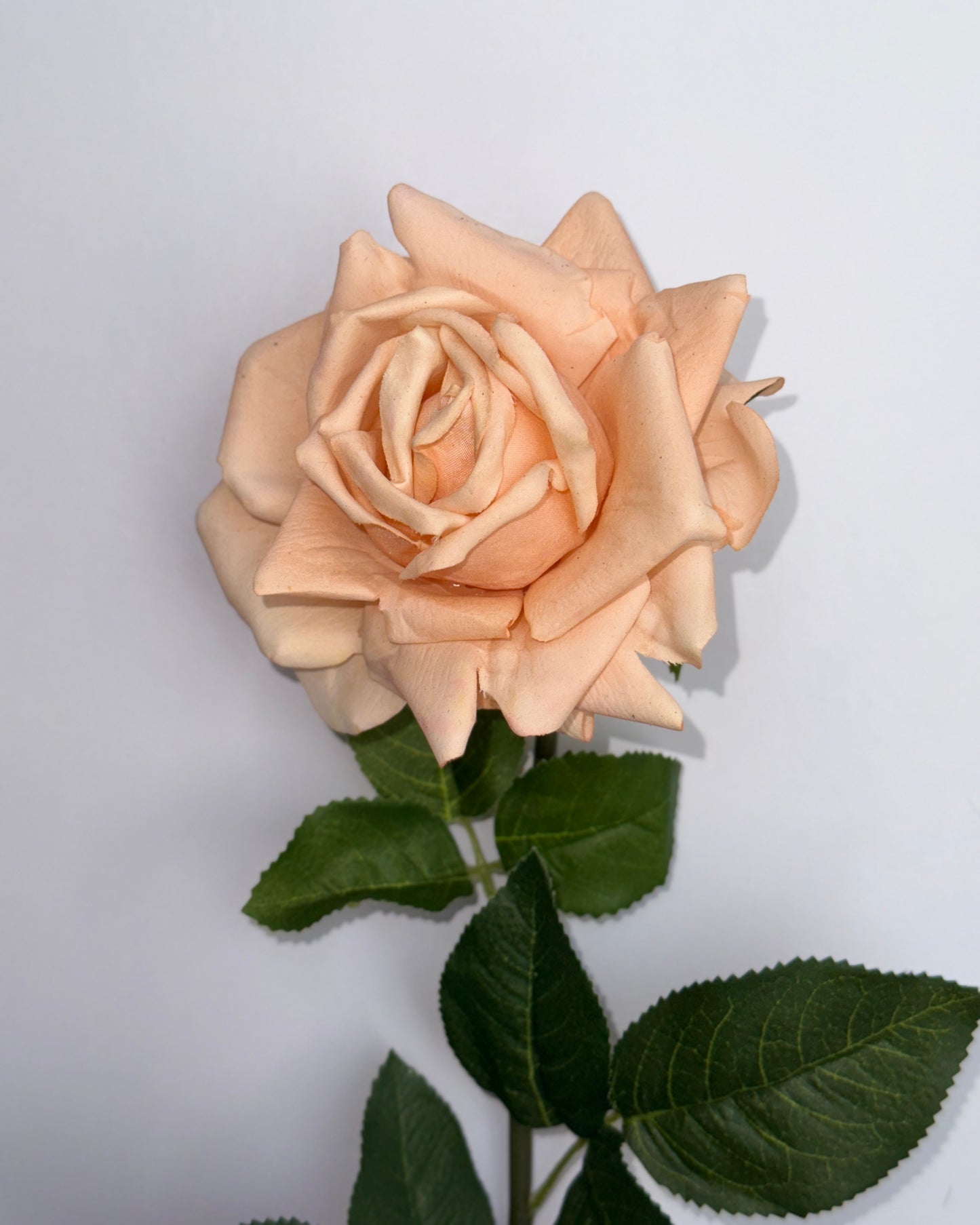 Rose (Real Touch)