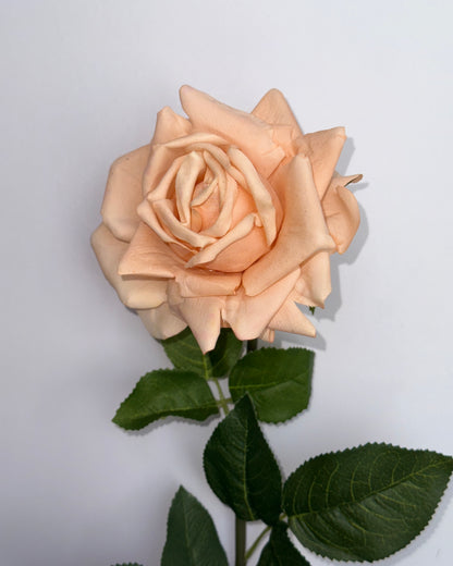 Rose (Real Touch)