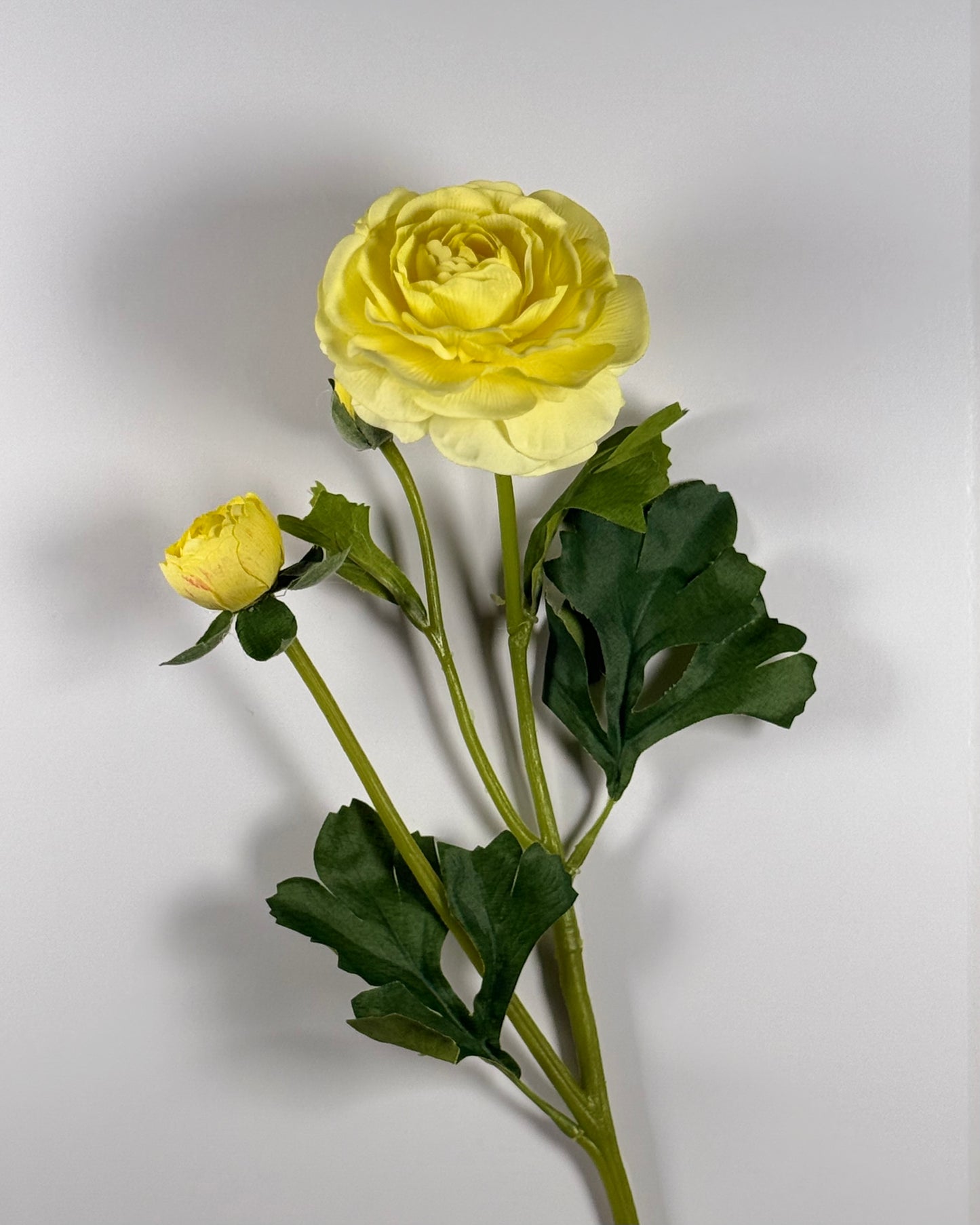 Ranunculus Spray