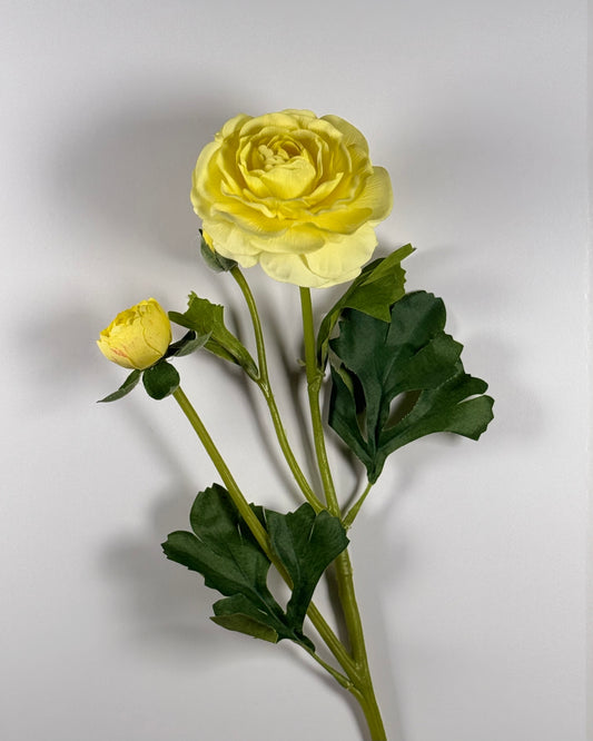 Ranunculus Spray