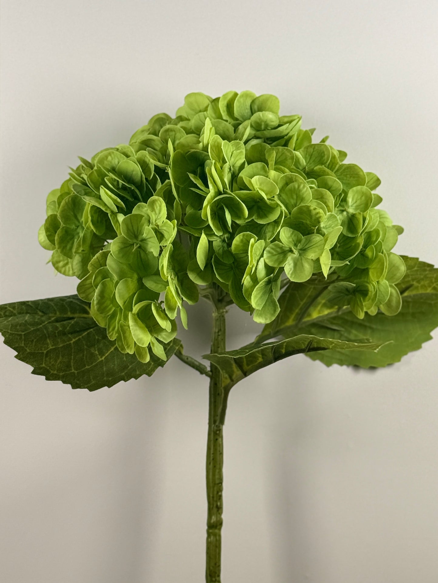 Hydrangea DF022 - Thick Stem (Real Touch)