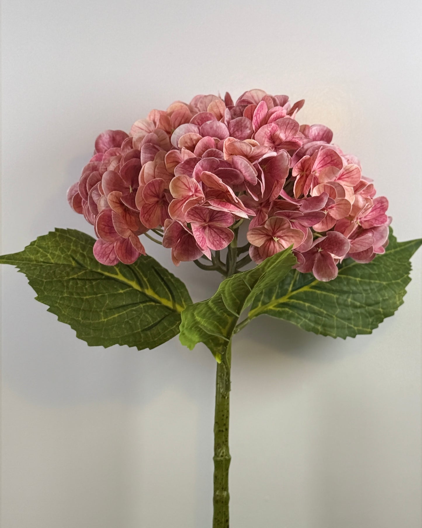 Hydrangea DF022 - Thick Stem (Real Touch)