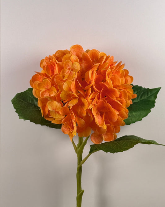 Hydrangea DF023 - Small Stem (Real Touch)