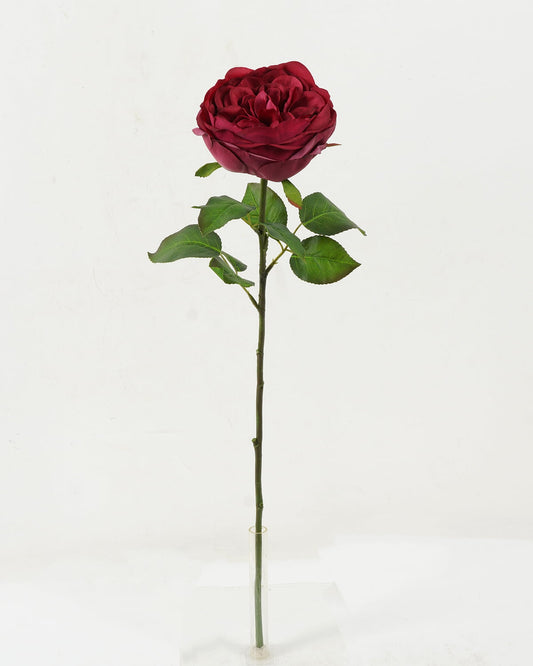 Austin Rose (Real Touch)