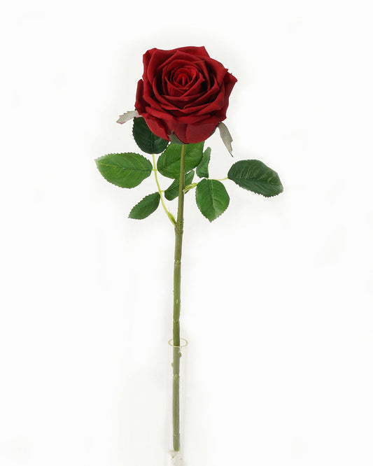Rose Moist (Real Touch)