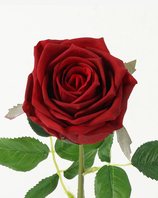 Rose Moist (Real Touch)