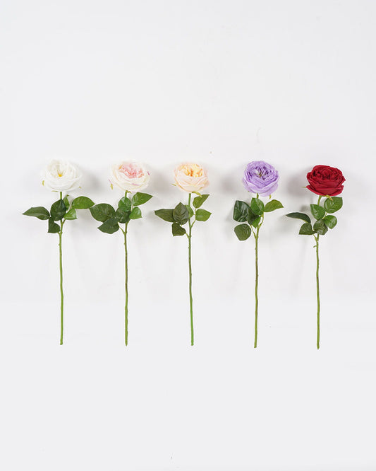 Single Rose (Real Touch)