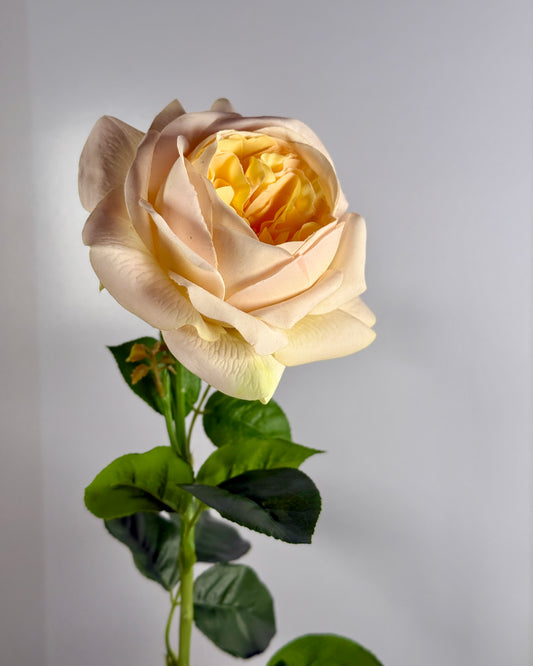 Peony (Real Touch)
