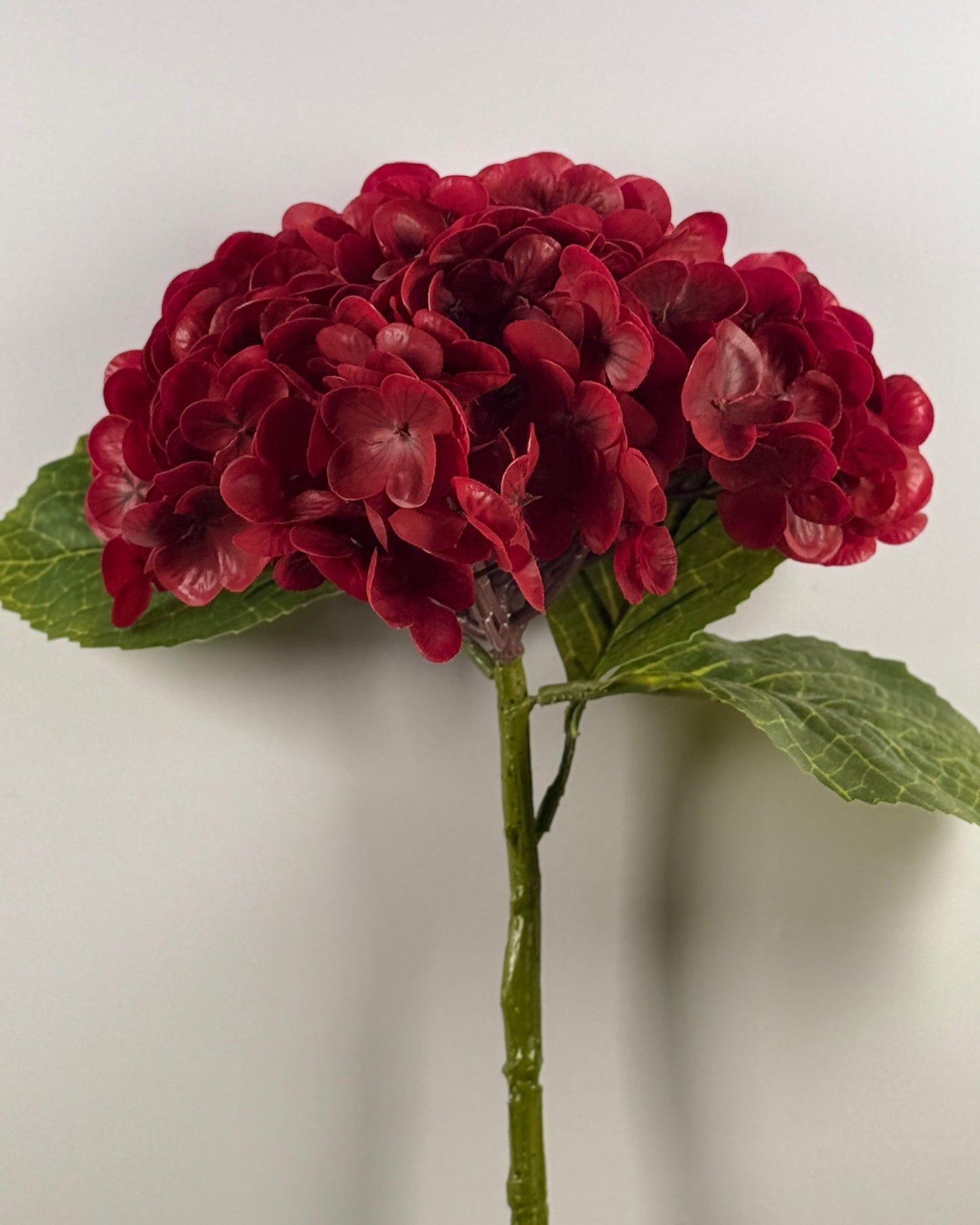 Hydrangea DF022 - Thick Stem (Real Touch)