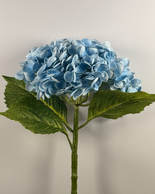 Hydrangea DF022 - Thick Stem (Real Touch)