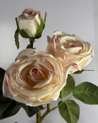 Spray Rose (Real Touch)