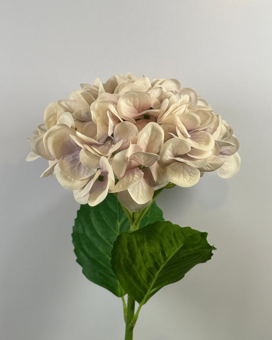 Hydrangea DF024 Large Leaves (Real Touch)