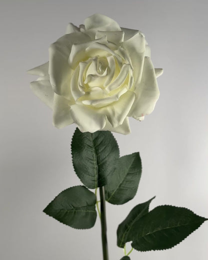 Rose (Real Touch)