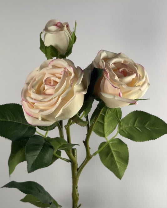 Spray Rose (Real Touch)