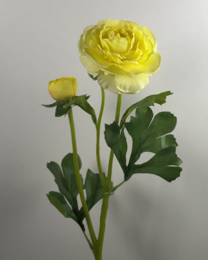 Ranunculus Spray