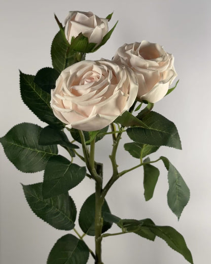 Spray Rose (Real Touch)